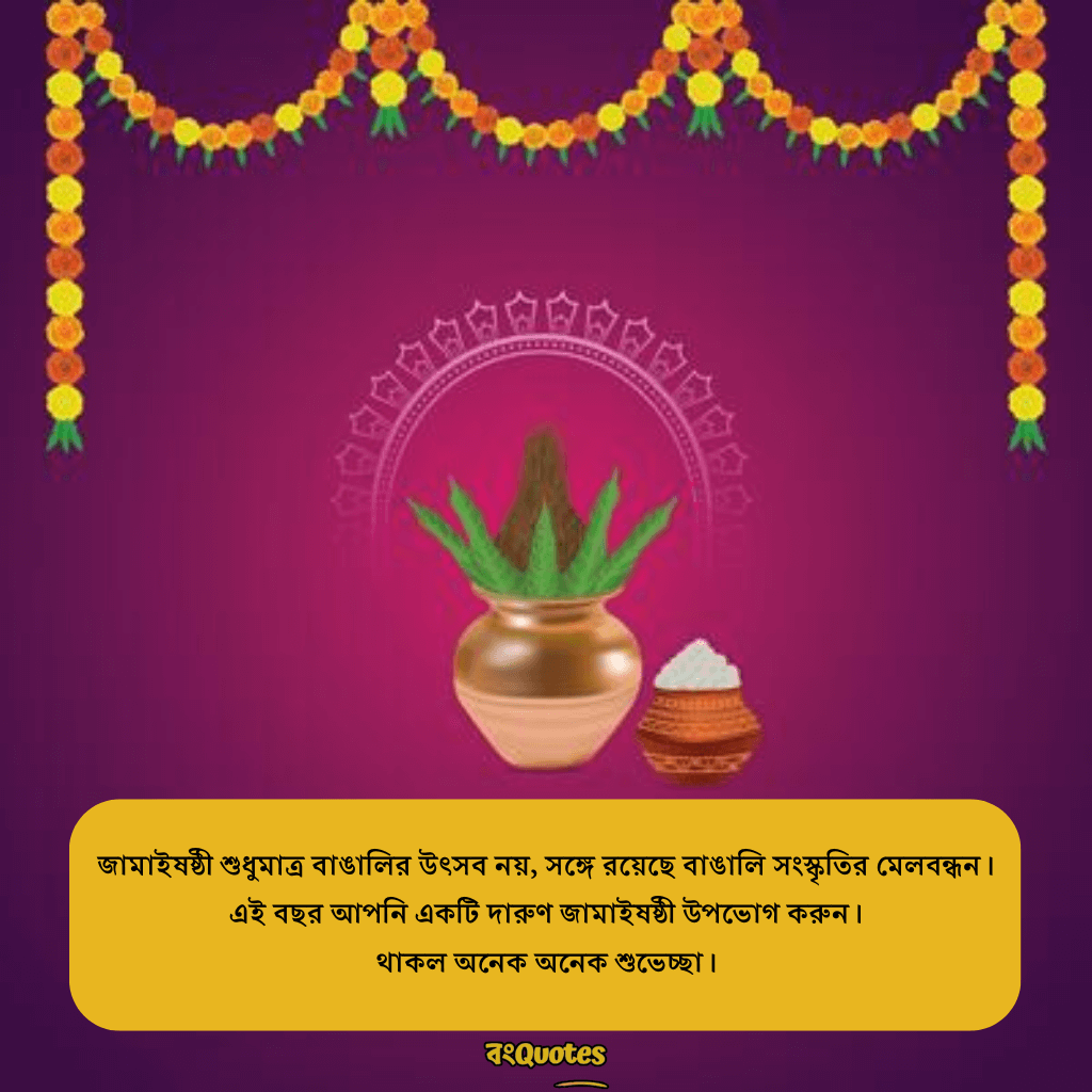 জামাইষষ্ঠীর ক্যাপশন 14