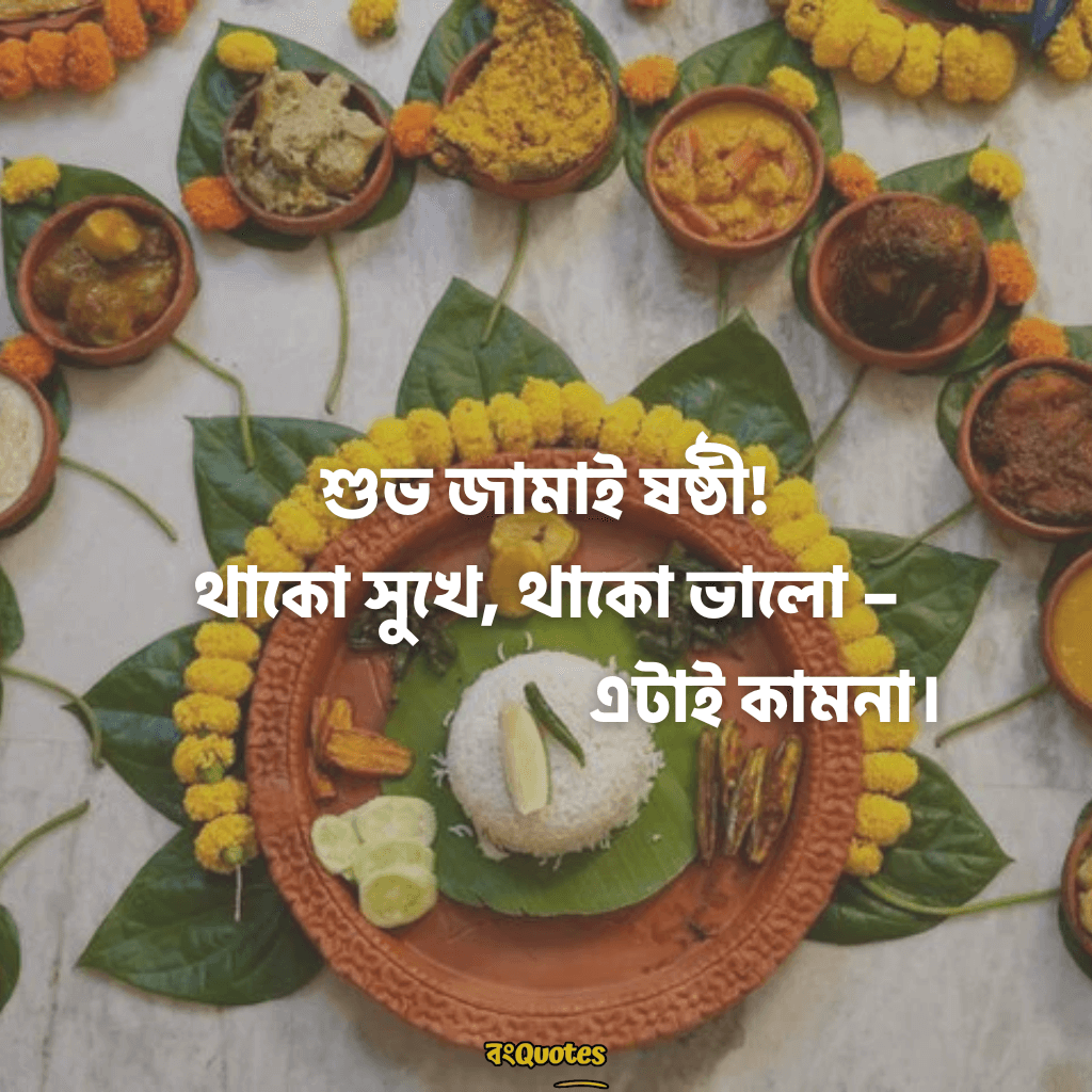 জামাইষষ্ঠীর ক্যাপশন 15