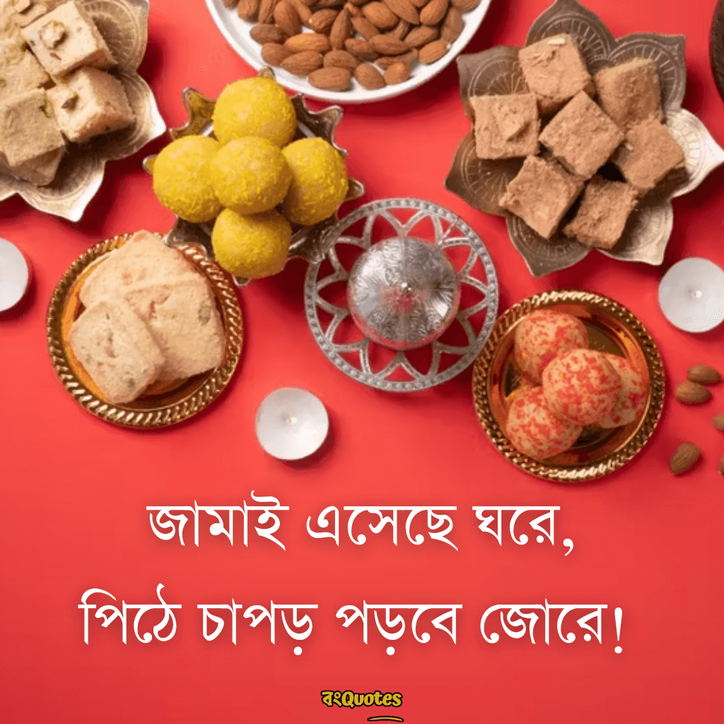 জামাইষষ্ঠীর ক্যাপশন 6