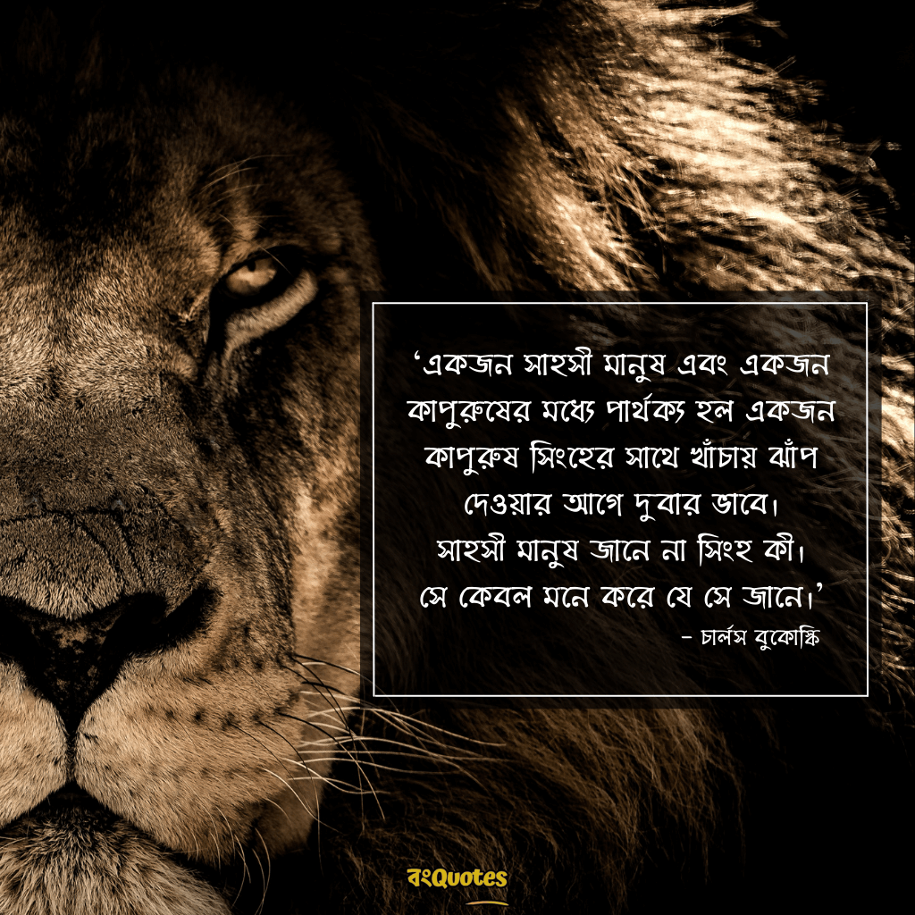 সিংহ সম্পর্কে অনুপ্রেরণামূলক উক্তি 10