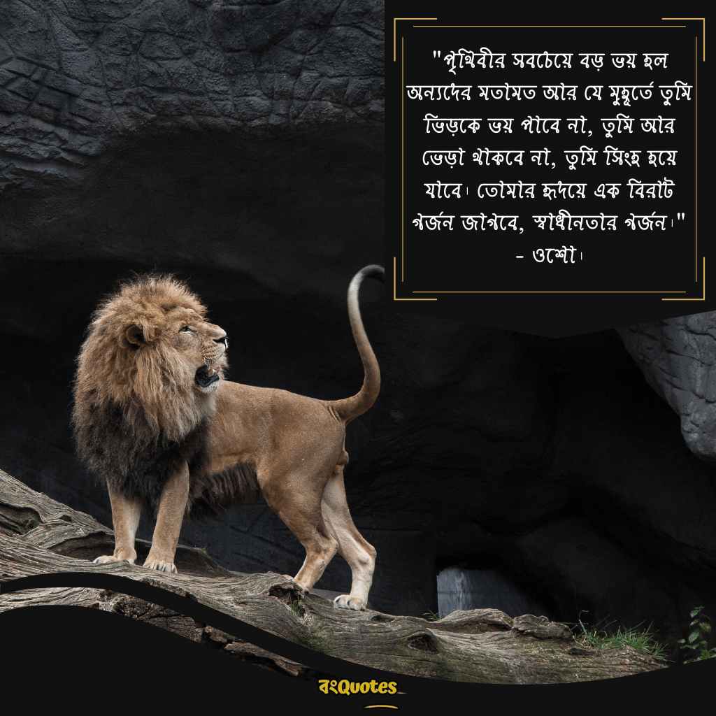 সিংহ সম্পর্কে অনুপ্রেরণামূলক উক্তি 11