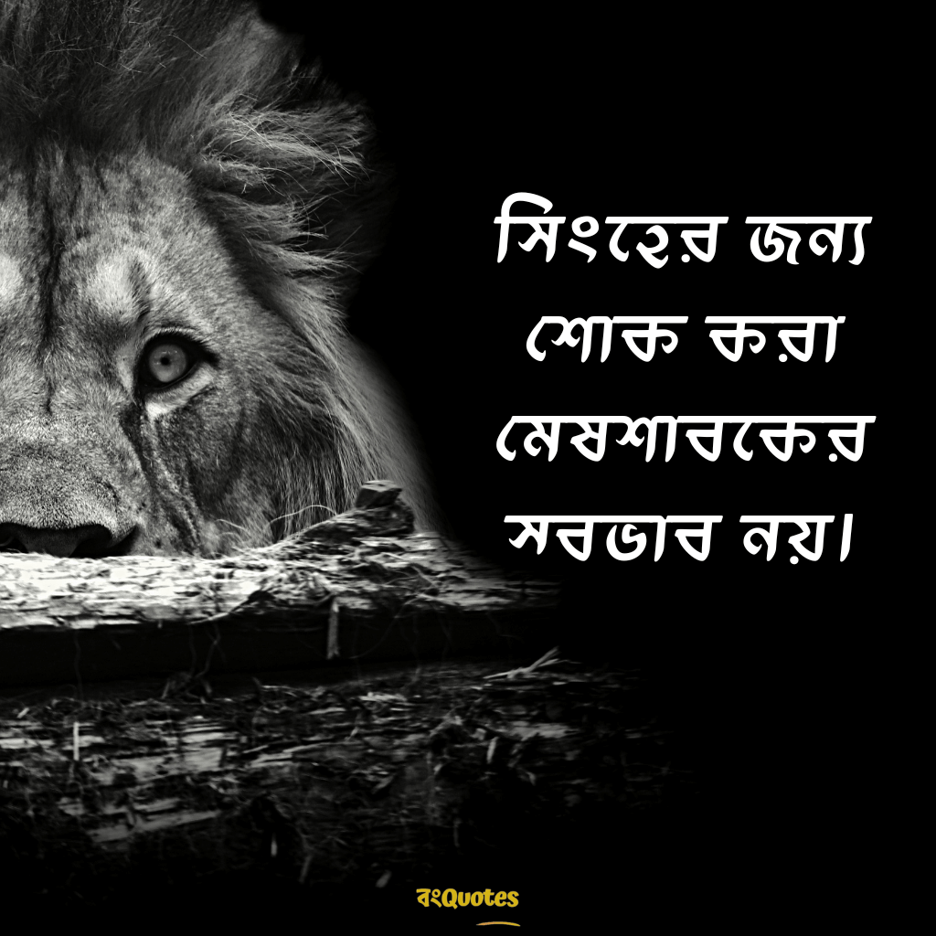 সিংহ সম্পর্কে অনুপ্রেরণামূলক উক্তি 15