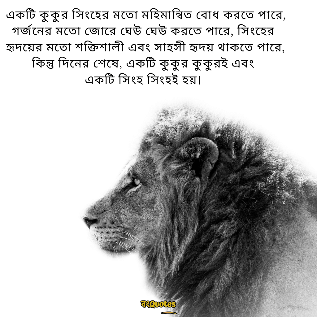 সিংহ সম্পর্কে অনুপ্রেরণামূলক উক্তি 16