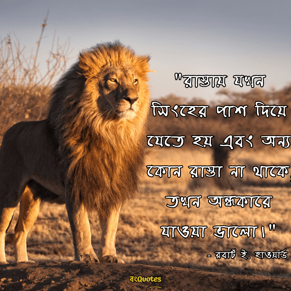 সিংহ সম্পর্কে অনুপ্রেরণামূলক উক্তি 2
