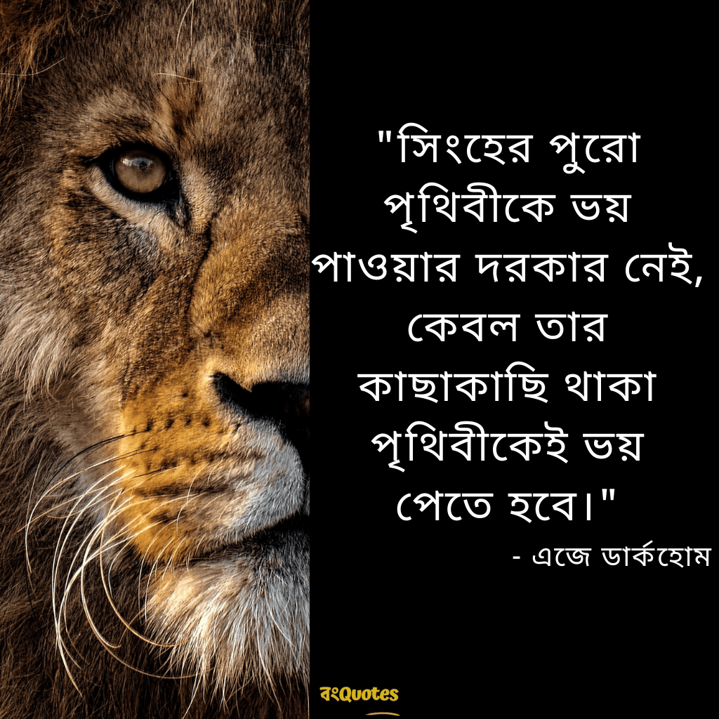 সিংহ সম্পর্কে অনুপ্রেরণামূলক উক্তি 4