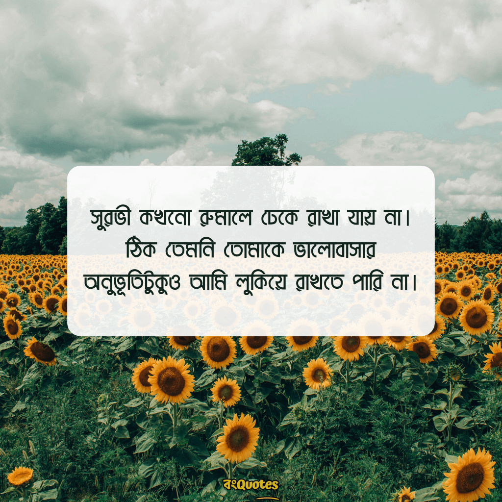 মনের কিছু অনুভূতির কথা 13