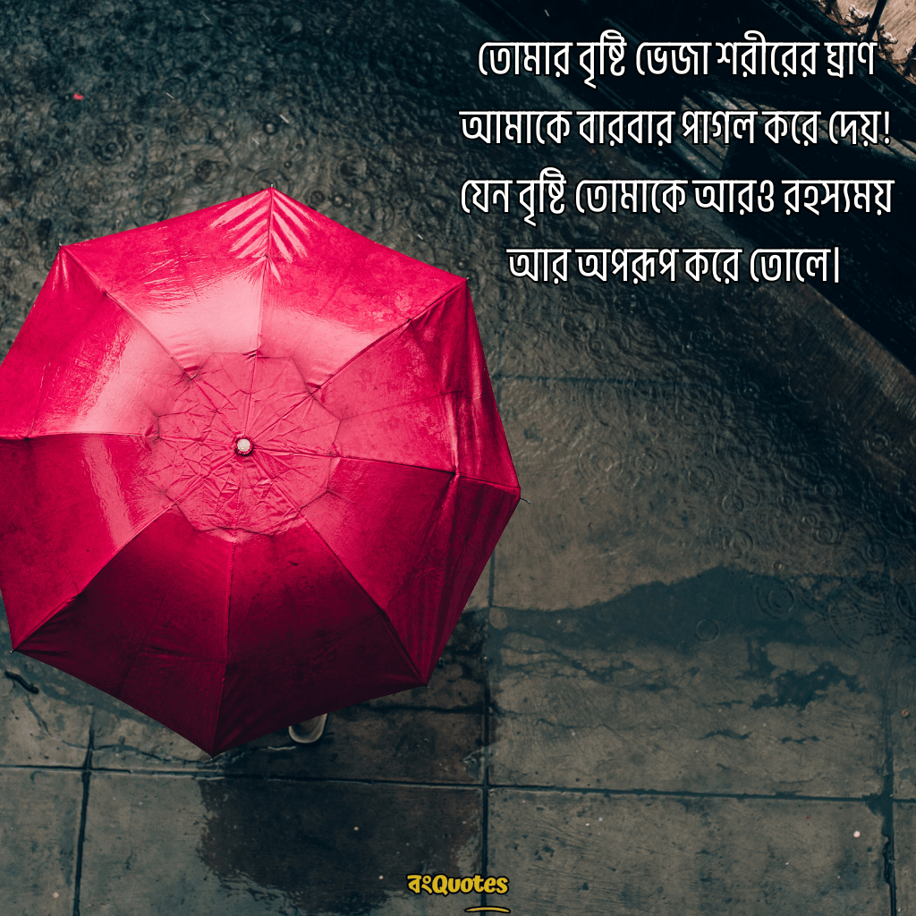 বৃষ্টি নিয়ে ক্যাপশন 13