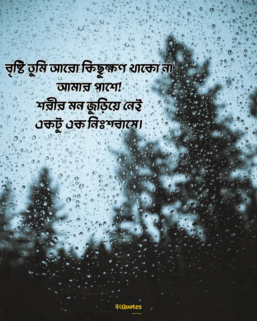 বৃষ্টি 14
