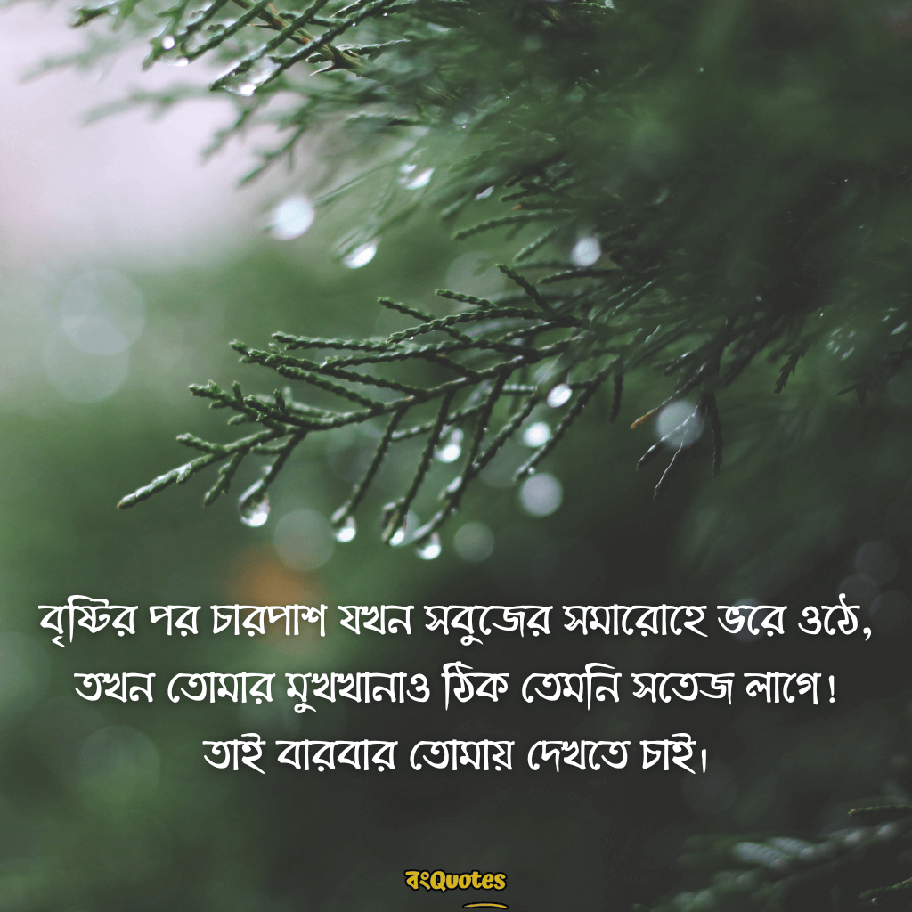 বৃষ্টি নিয়ে ক্যাপশন 17