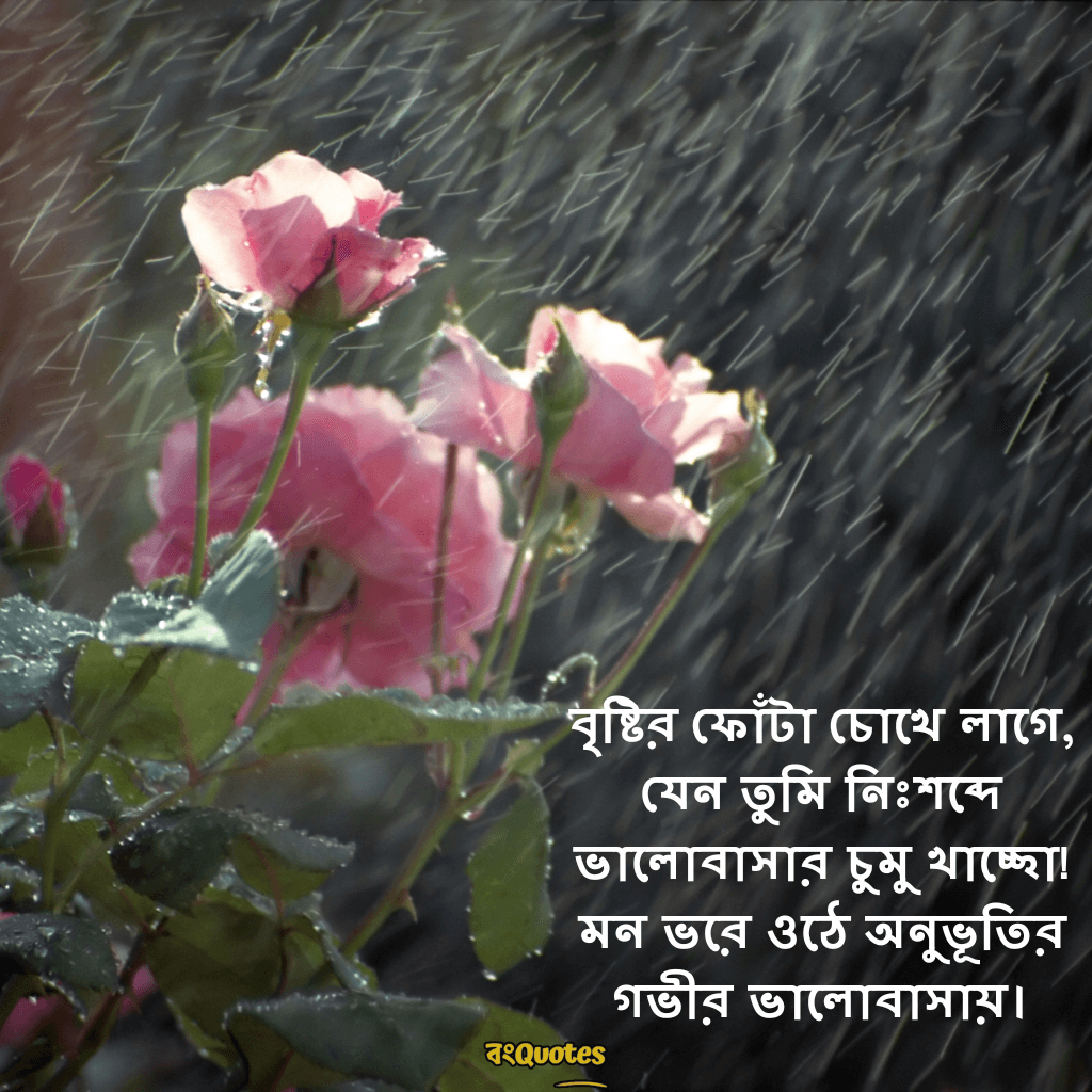 বৃষ্টি নিয়ে ক্যাপশন 18