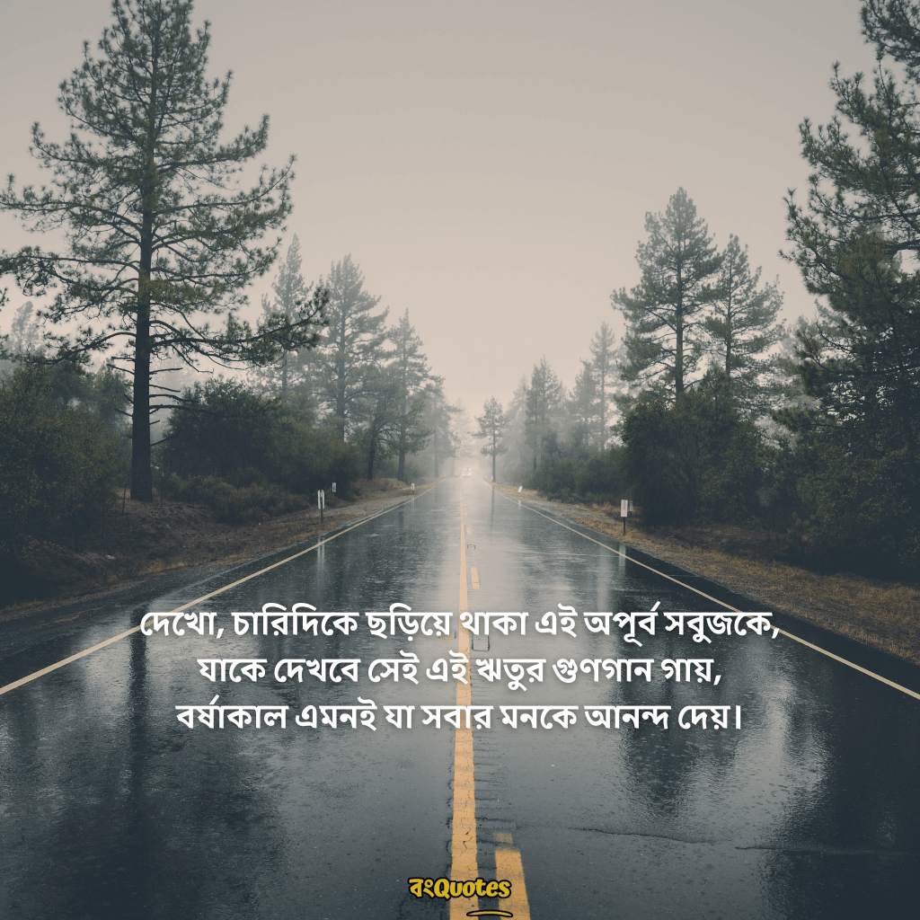 বৃষ্টি নিয়ে ক্যাপশন 2