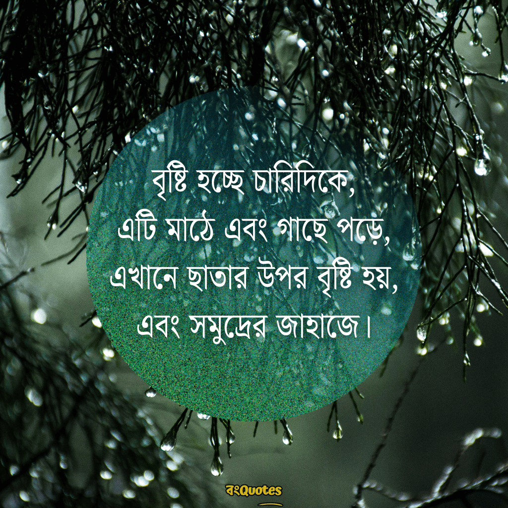 বৃষ্টি নিয়ে ক্যাপশন 5