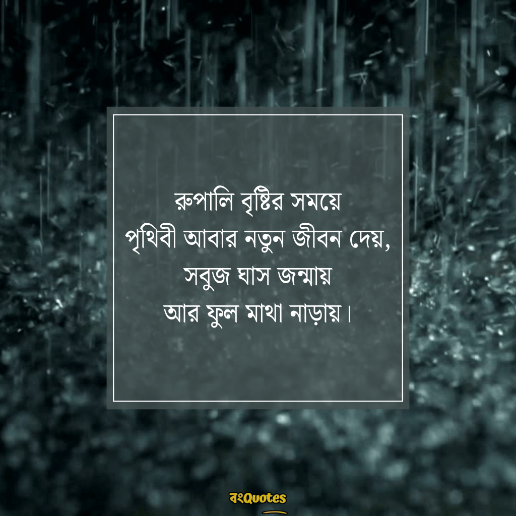 বৃষ্টি নিয়ে ক্যাপশন 6