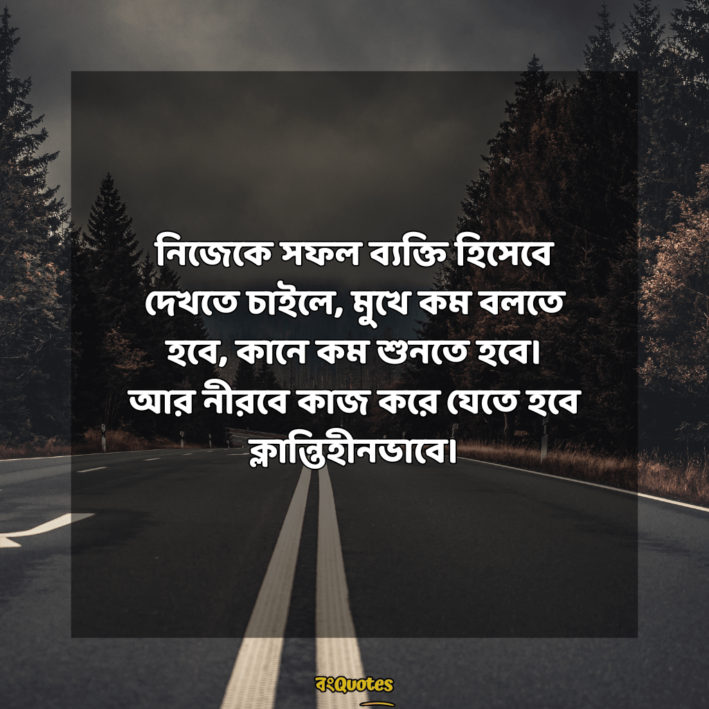 সফলতা নিয়ে ক্যাপশন 4