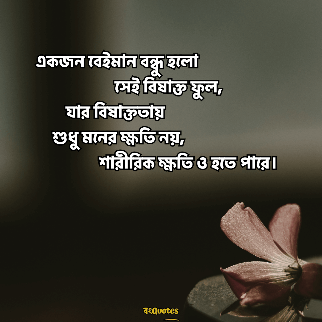 বন্ধুকে নিয়ে স্ট্যাটাস ক্যাপশন 16