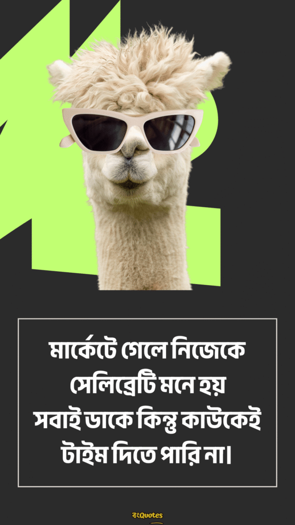 ফানি ক্যাপশন বাংলা 14
