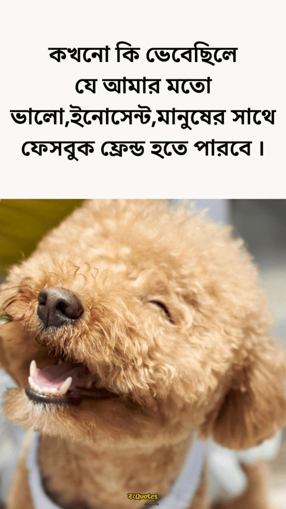 ফানি ক্যাপশন বাংলা 3