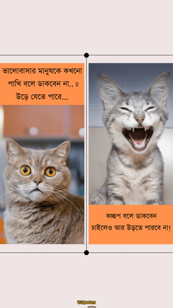 ফানি ক্যাপশন বাংলা 8