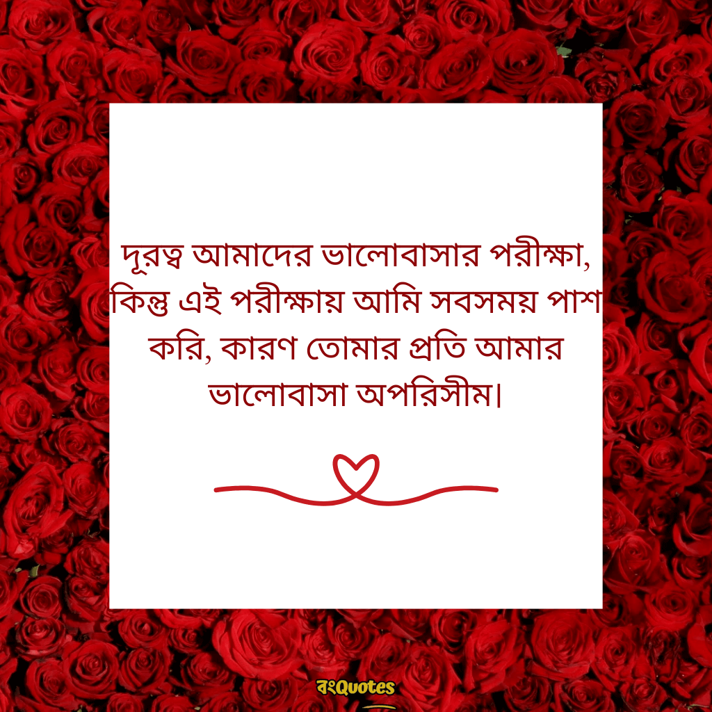দূর থেকে ভালোবাসার ক্যাপশন 17