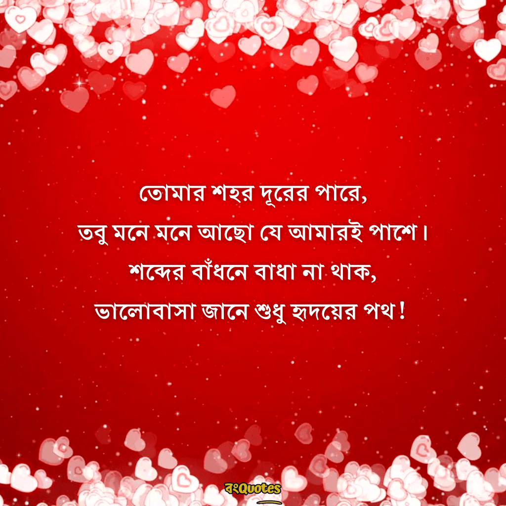 দূর থেকে ভালোবাসার ক্যাপশন 19