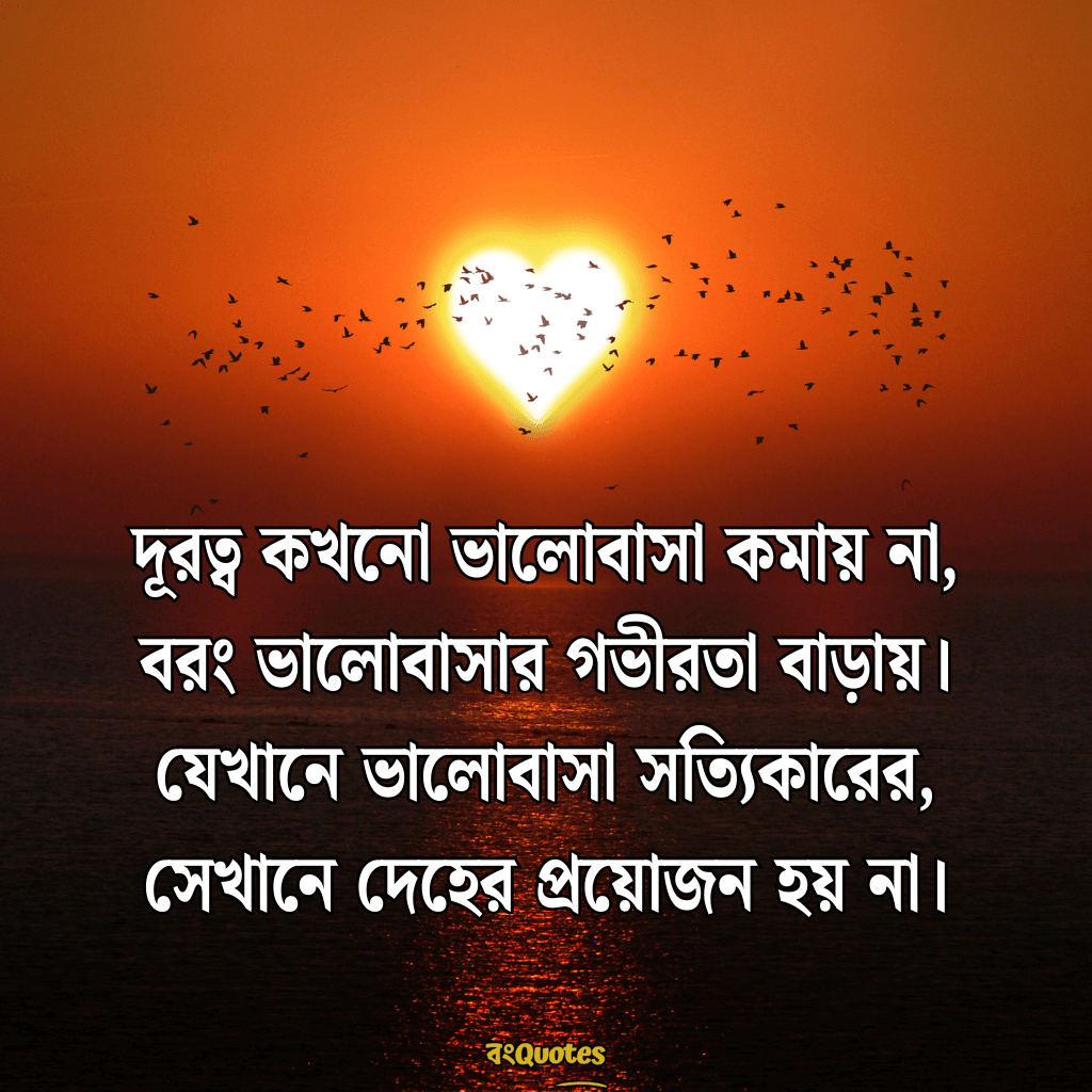 দূর থেকে ভালোবাসার ক্যাপশন 6