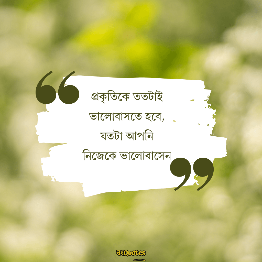 সবুজ প্রকৃতি নিয়ে ক্যাপশন 1