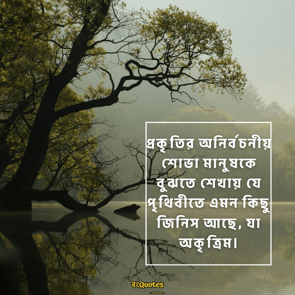 সবুজ প্রকৃতি নিয়ে ক্যাপশন 10