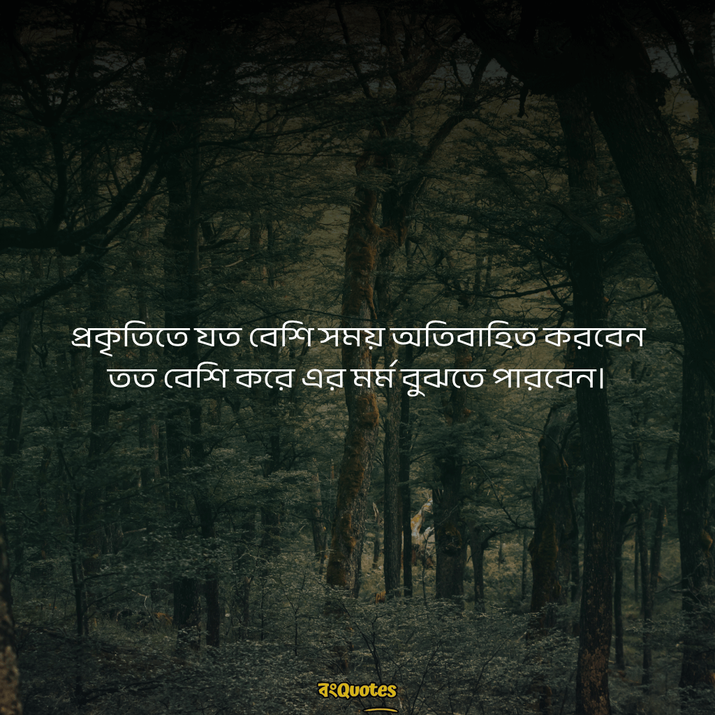 সবুজ প্রকৃতি নিয়ে ক্যাপশন 11