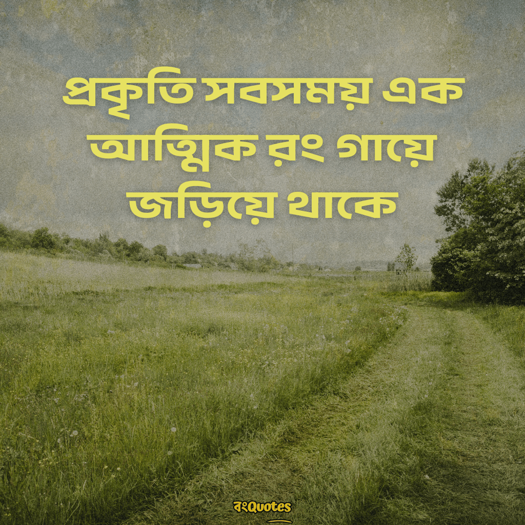 সবুজ প্রকৃতি নিয়ে ক্যাপশন 12