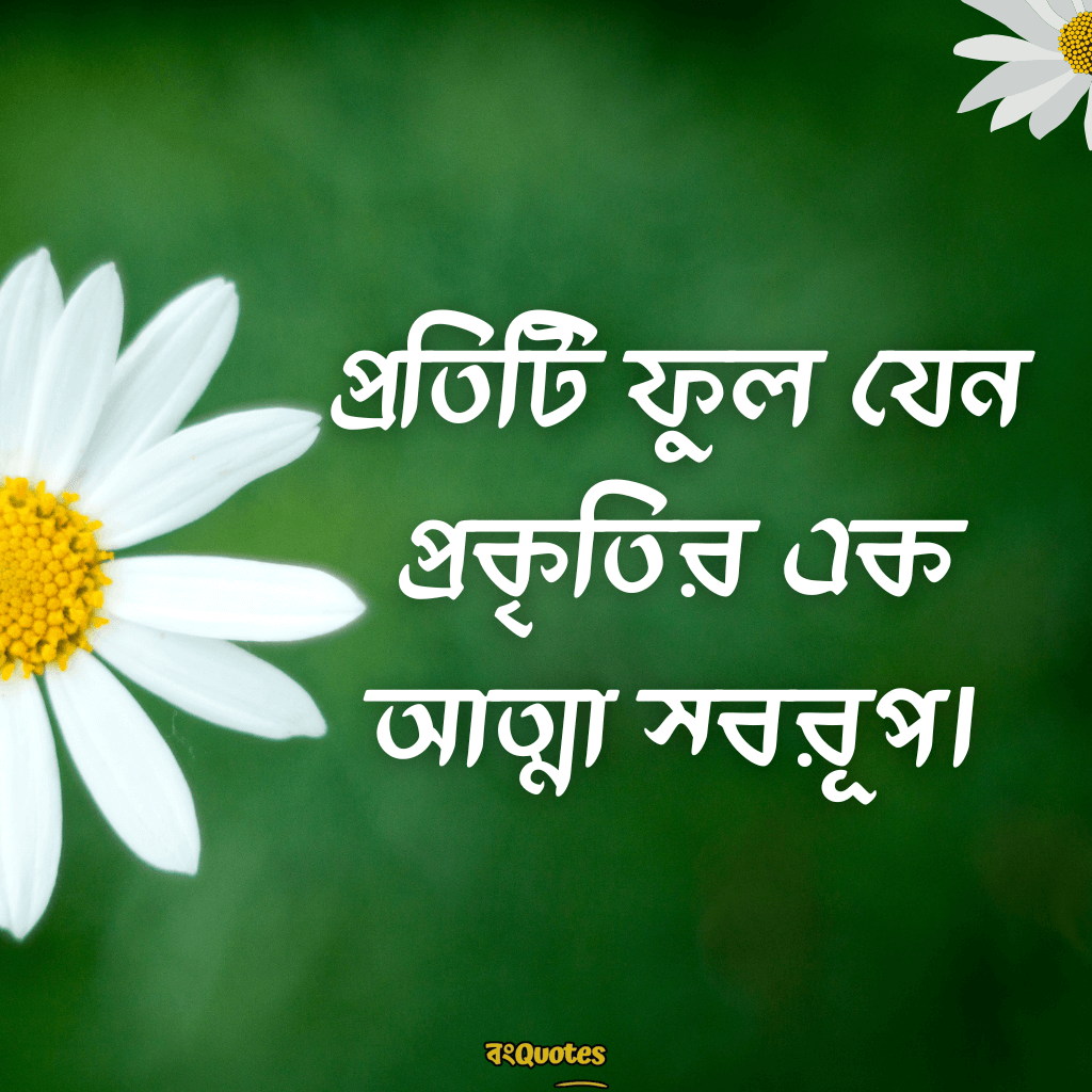 সবুজ প্রকৃতি নিয়ে ক্যাপশন 13