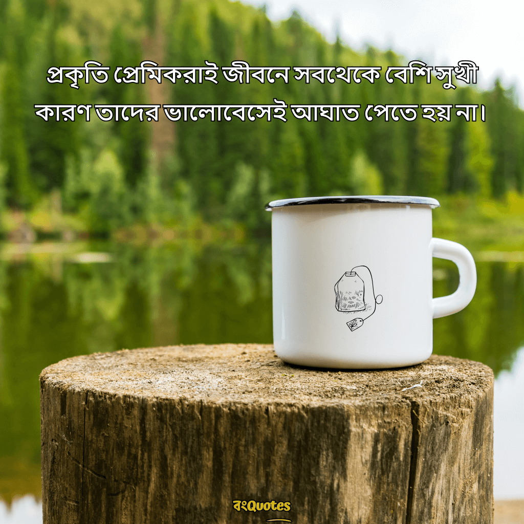 সবুজ প্রকৃতি নিয়ে ক্যাপশন 15