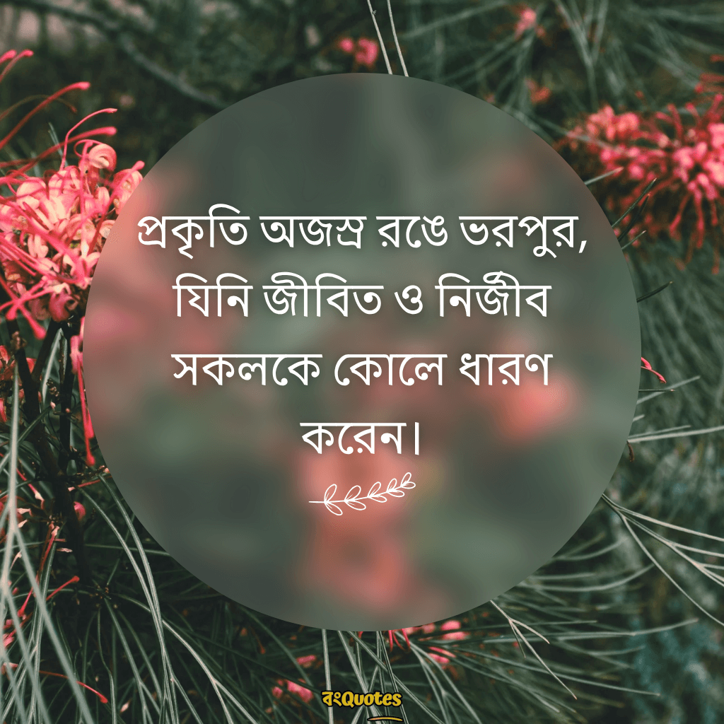 সবুজ প্রকৃতি নিয়ে ক্যাপশন 16