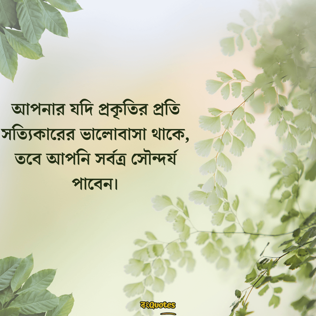 সবুজ প্রকৃতি নিয়ে ক্যাপশন 17