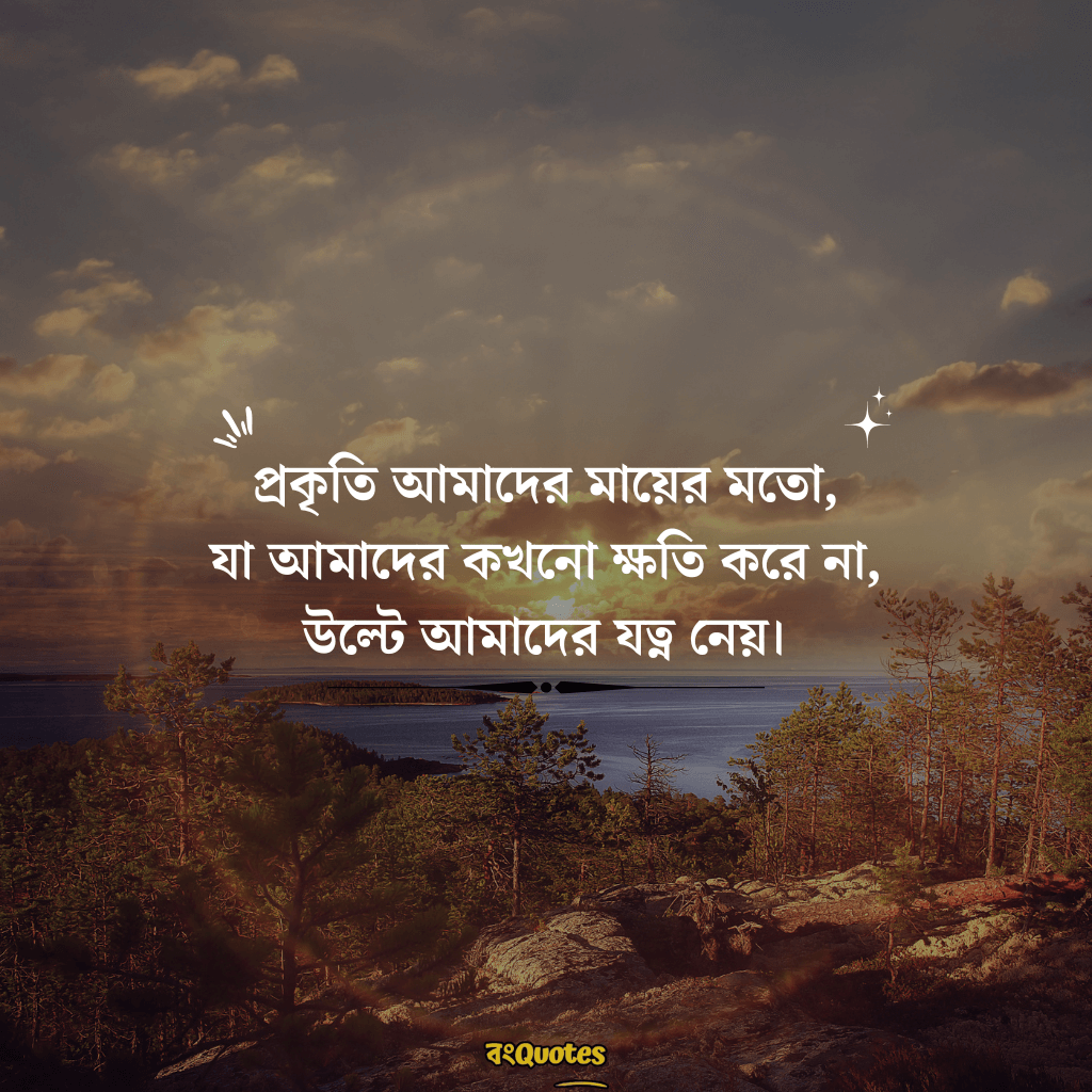 সবুজ প্রকৃতি নিয়ে ক্যাপশন 18