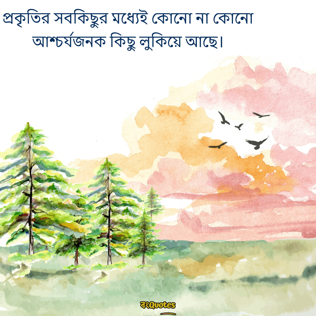 সবুজ প্রকৃতি নিয়ে ক্যাপশন 2