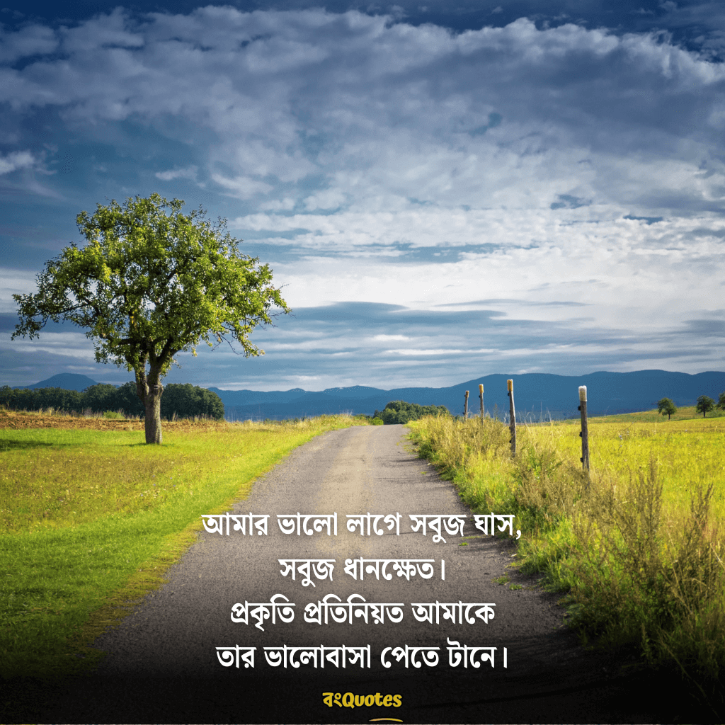 সবুজ প্রকৃতি নিয়ে ক্যাপশন 4
