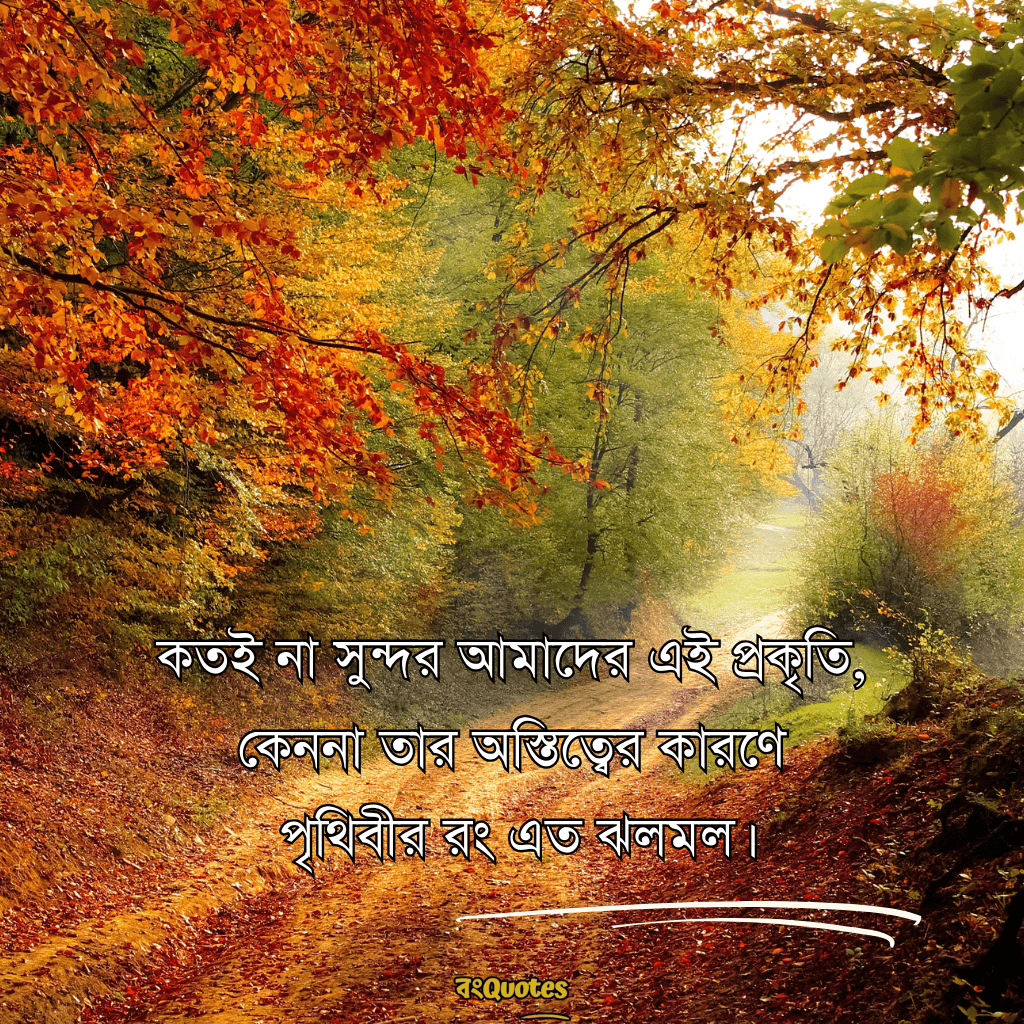 সবুজ প্রকৃতি নিয়ে ক্যাপশন 8