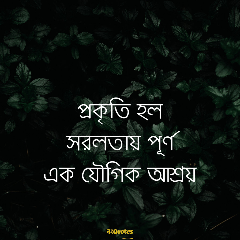 সবুজ প্রকৃতি নিয়ে ক্যাপশন 9