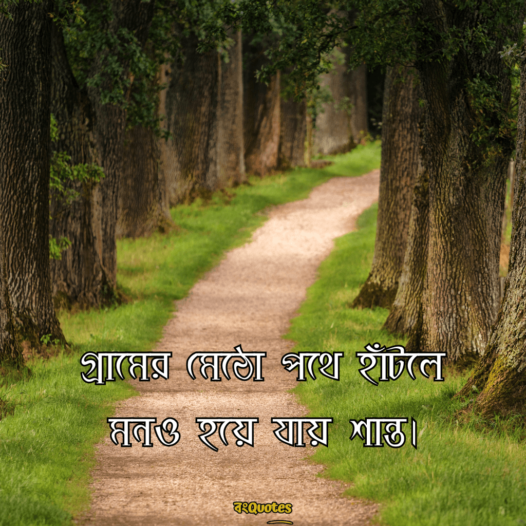 প্রকৃতি নিয়ে ছোট ক্যাপশন 10