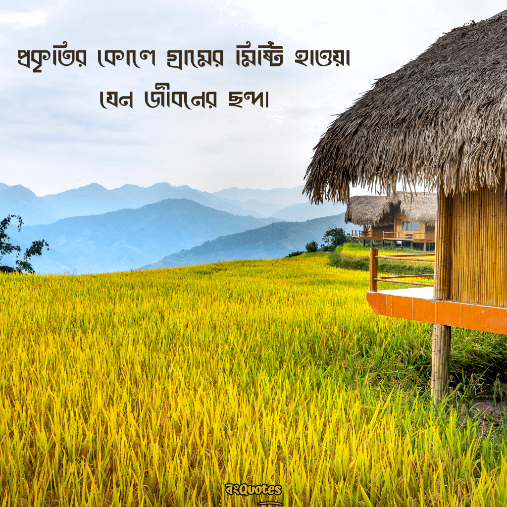 প্রকৃতি নিয়ে ছোট ক্যাপশন 12