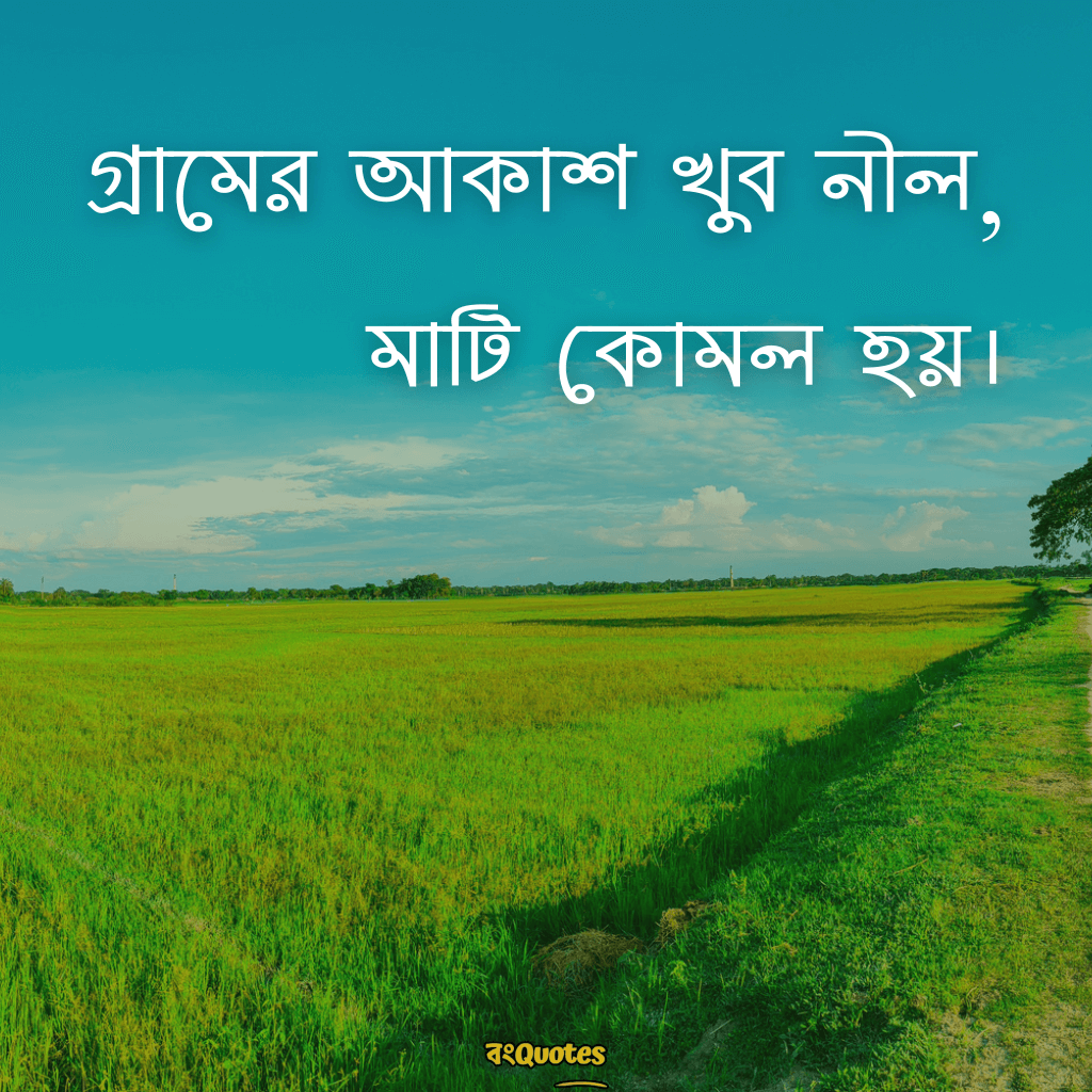 প্রকৃতি নিয়ে ছোট ক্যাপশন 14
