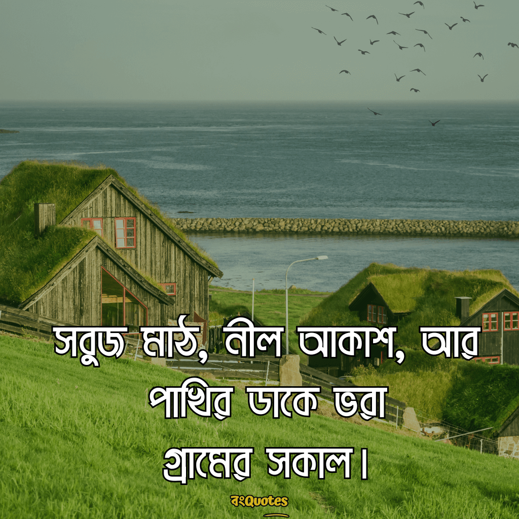 প্রকৃতি নিয়ে ছোট ক্যাপশন 15