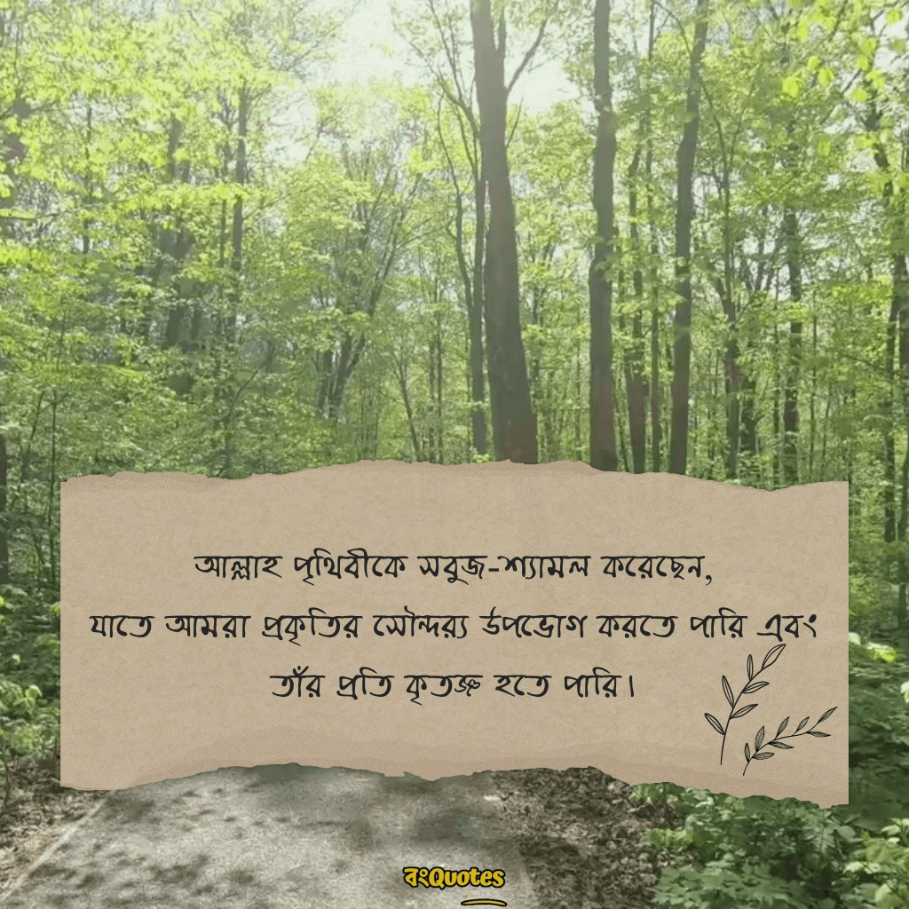 প্রকৃতি নিয়ে ছোট ক্যাপশন 2