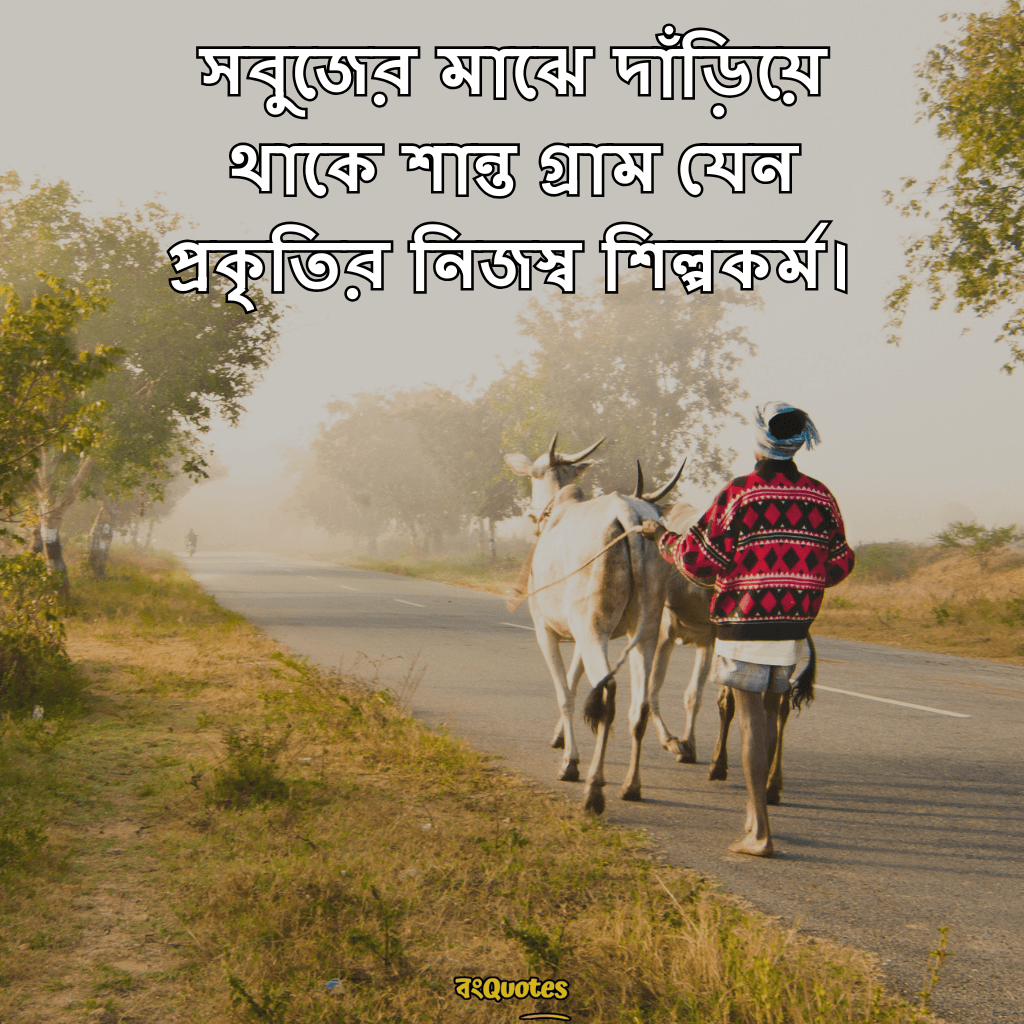 প্রকৃতি নিয়ে ছোট ক্যাপশন 20