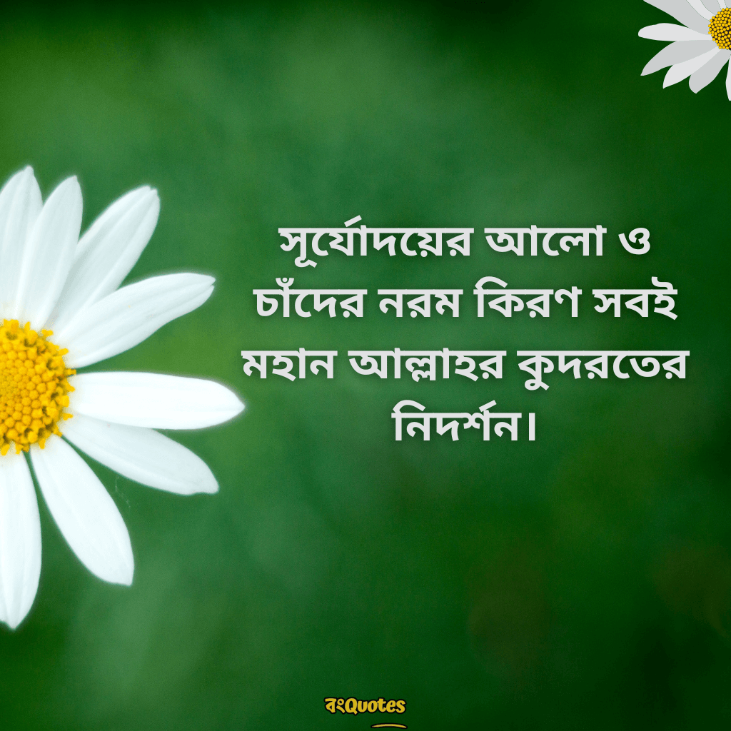 প্রকৃতি নিয়ে ছোট ক্যাপশন 5