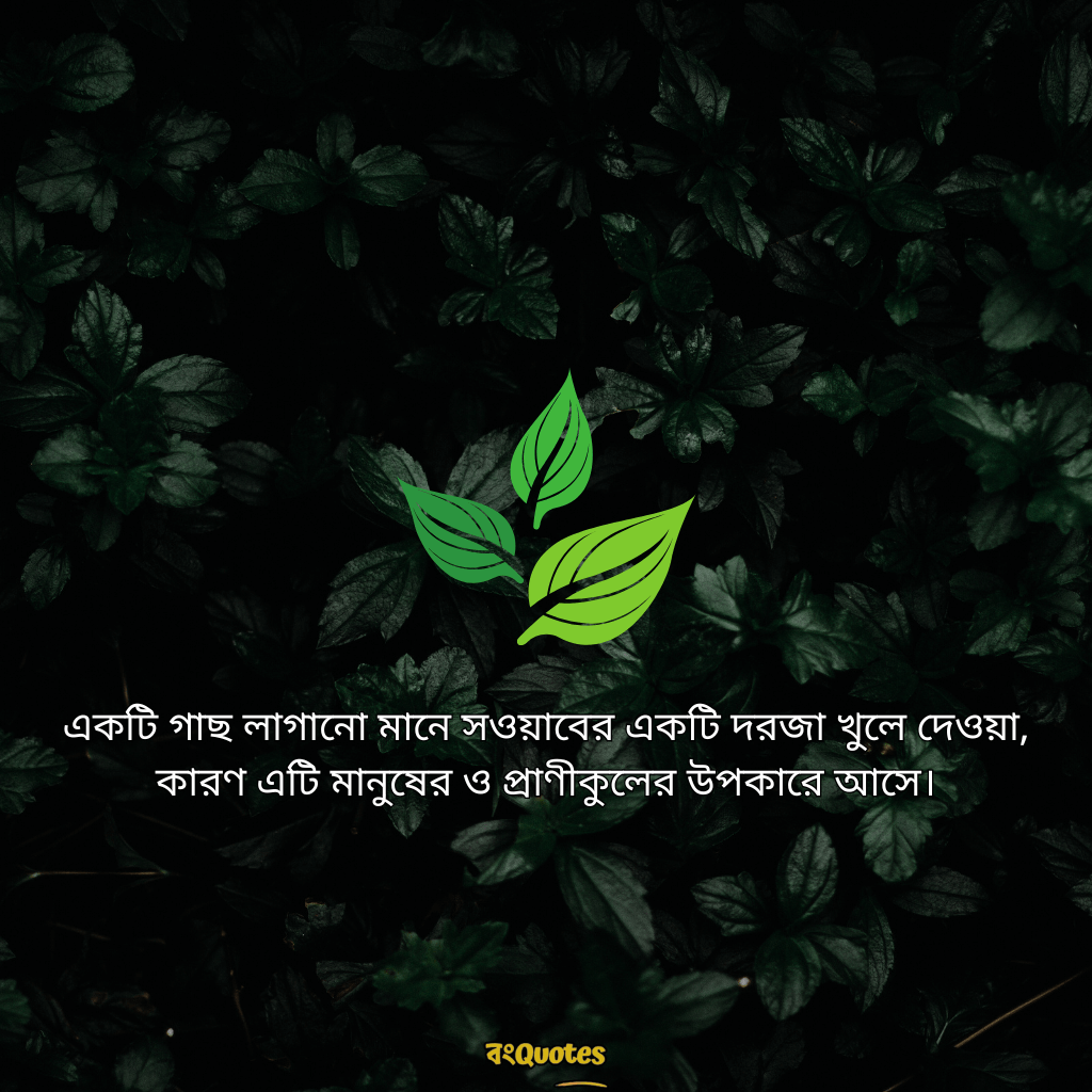 প্রকৃতি নিয়ে ছোট ক্যাপশন 7