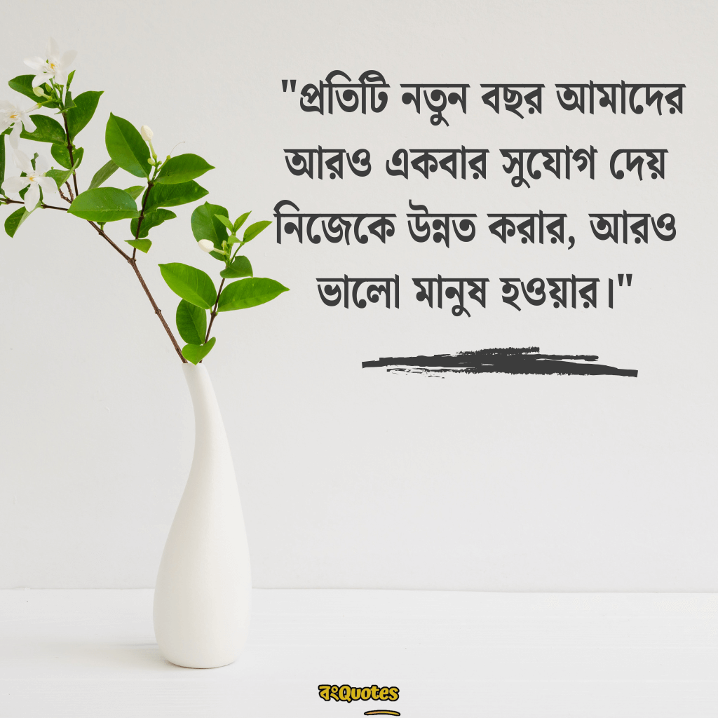নতুন বছর নিয়ে ক্যাপশন 6