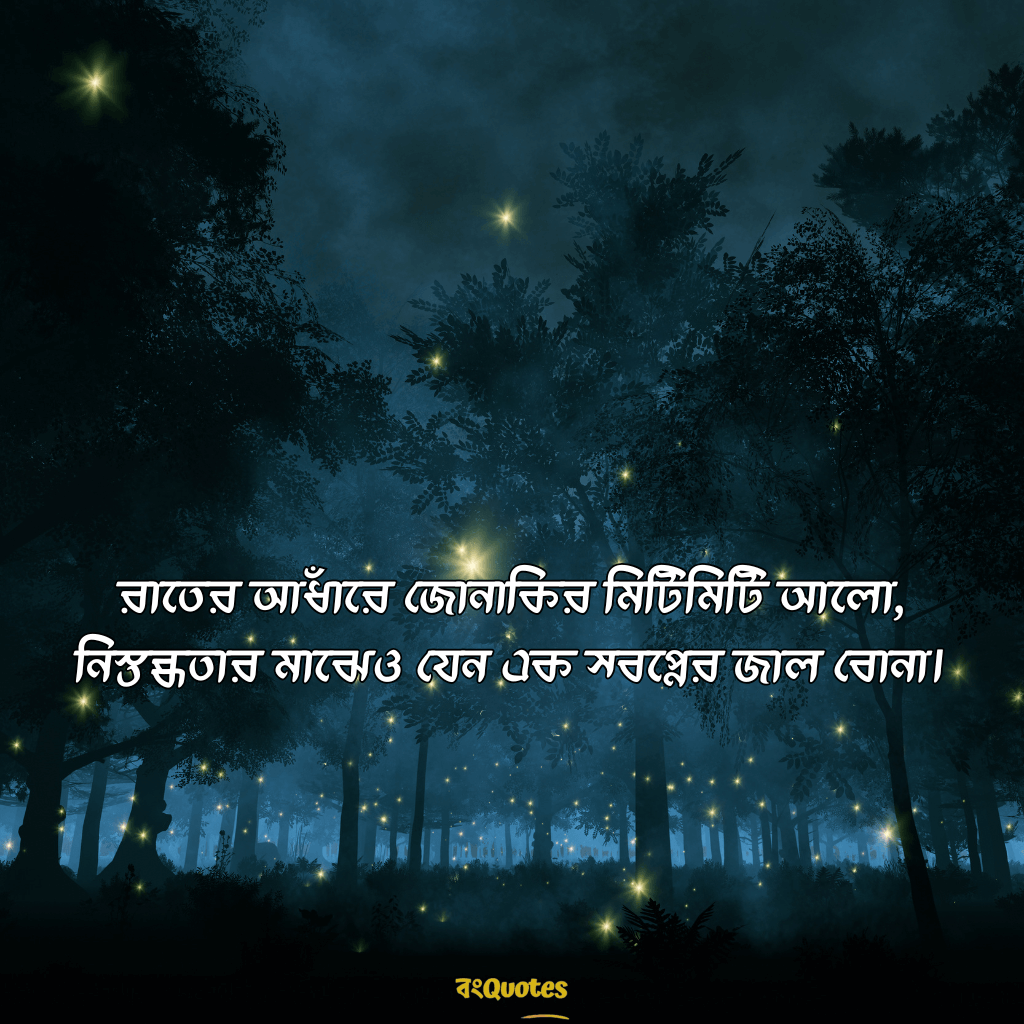 রাতের নিস্তব্ধতা নিয়ে ক্যাপশন 11