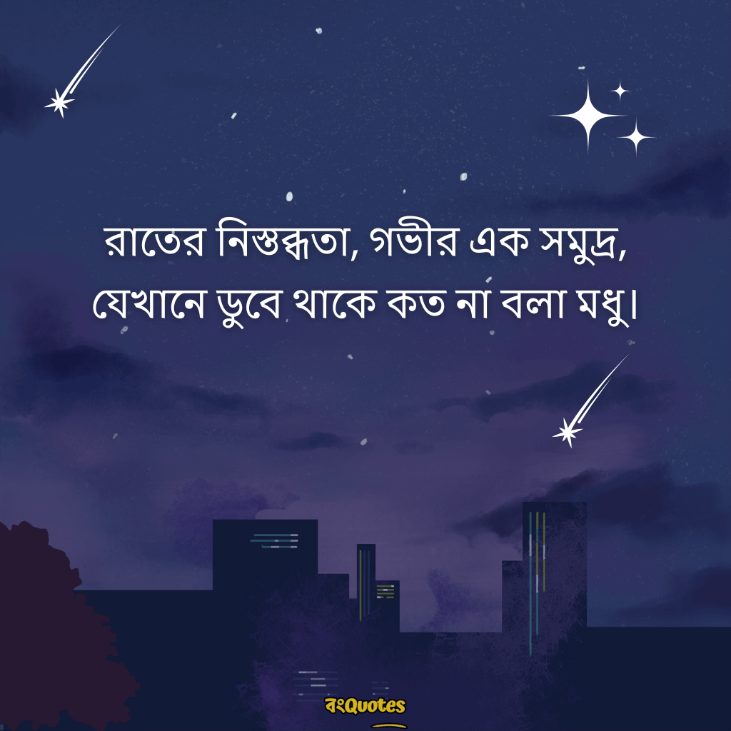 রাতের নিস্তব্ধতা নিয়ে ক্যাপশন 14
