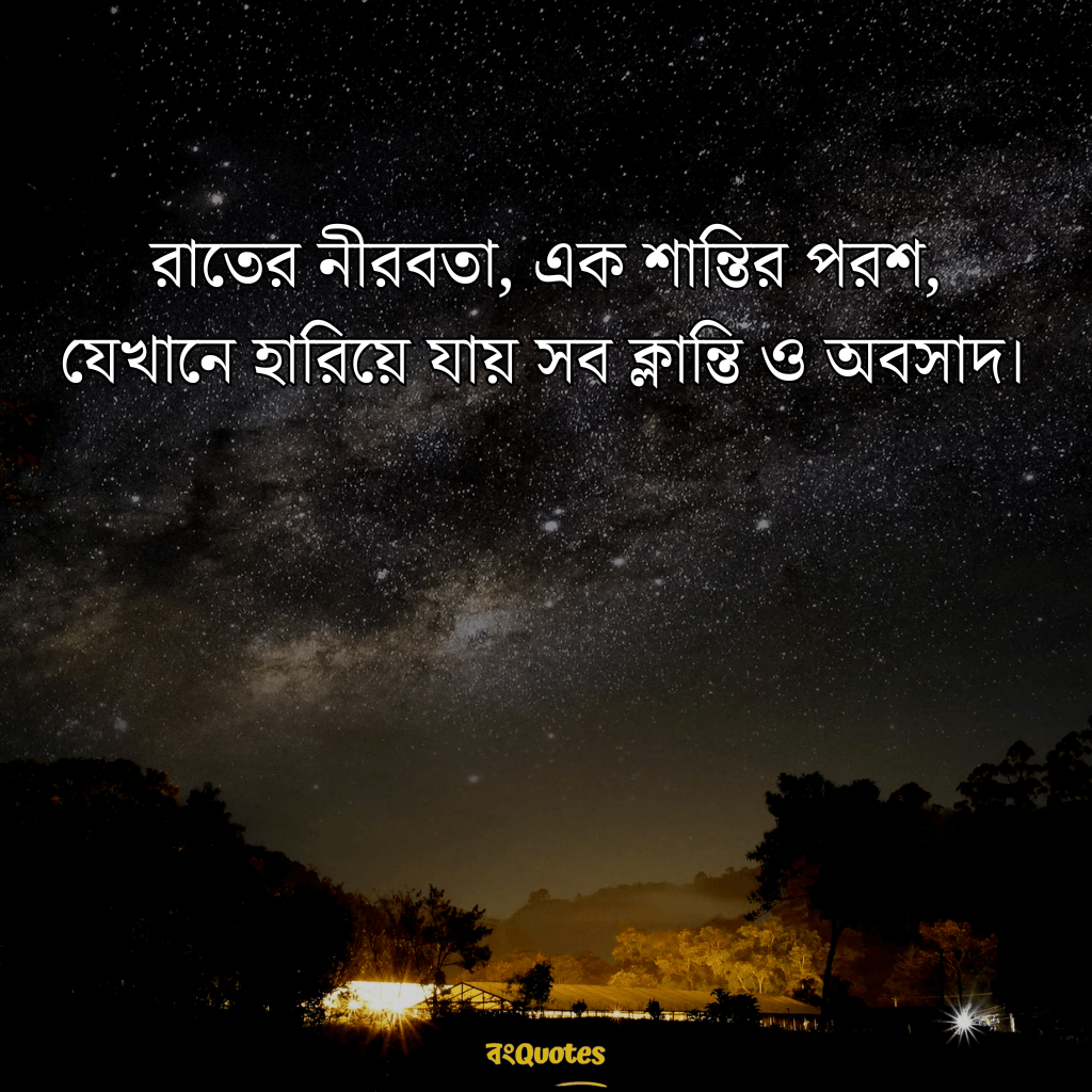 রাতের নিস্তব্ধতা নিয়ে ক্যাপশন 16